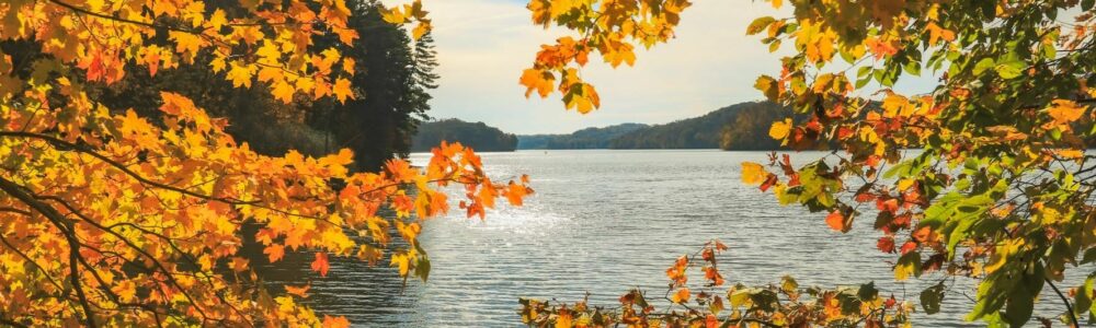 View of the lake from between trees with yellowing leaves