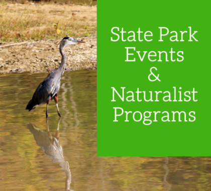 Naturalist Programs