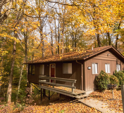 Salt fork cabin nestled among fall colored trees