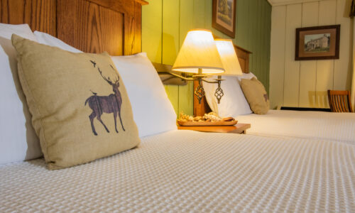 Double beds room interior