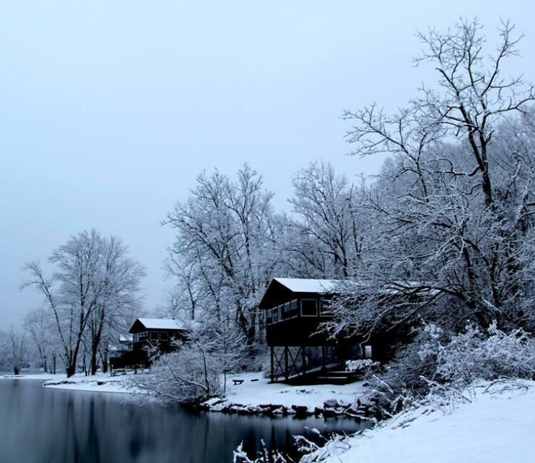 Cabins in the winter