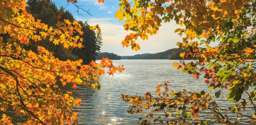 View of the lake from between trees with yellowing leaves