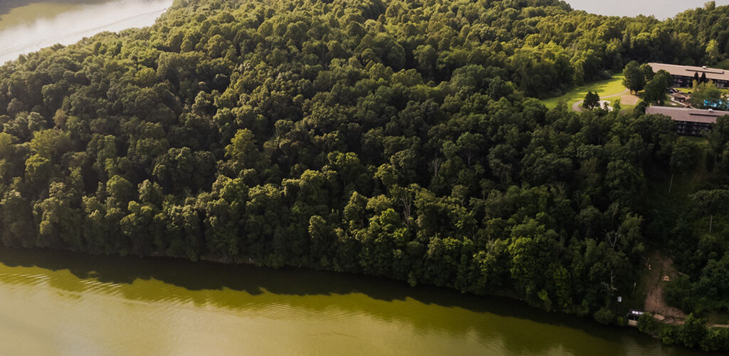 Aerial shot of Salt Fork