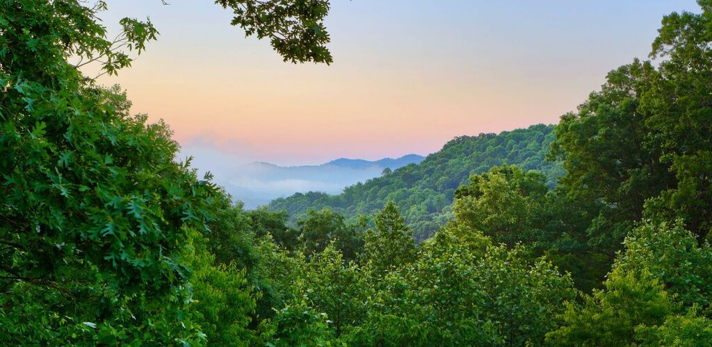 View of State Park